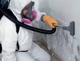 Best Attic Mold Removal in Cambridge Springs, PA